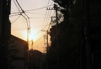 10589394.jpg