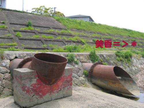美香オン土手.jpg
