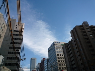 P1010058.jpg